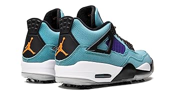 NIKE - 【日本未発売】Jordan4　Retro Golf Torrey Pines Air Jordan 4 Retro Golf US Open Torrey Pines Pack ACG